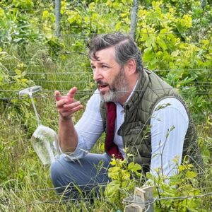 Minnen viinitasting 12.11.2024 | Domaine Alexandre Bonnet – Samppanjakylä Les Riceys’n monet sävyt | Luennoitsija: Thomas Bounias